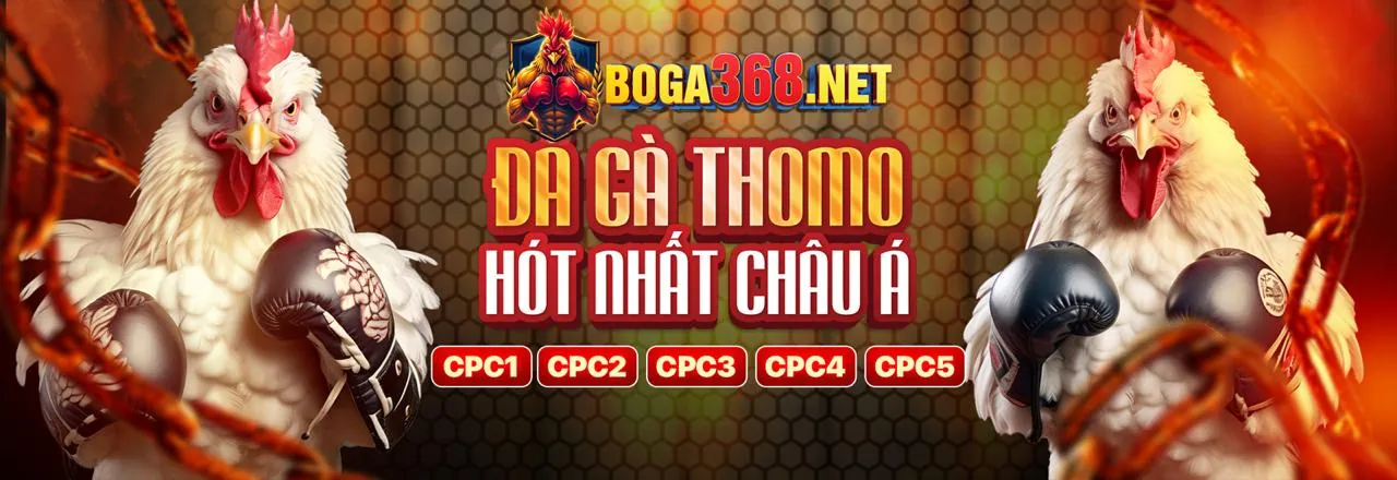 Khuyến mãi đá gà 789 Bet
