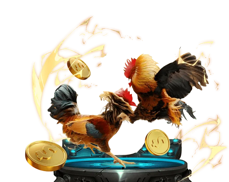 Bảo mật khi chơi đá gà tại 789 Bet